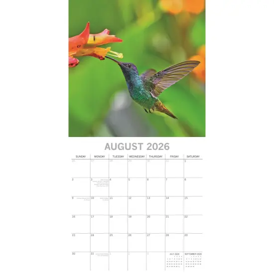The Gifted Stationary 2026 Square Wall Calendar, Exotic Birds, 16-Month Animals Theme Hanging Calendar with 180 Reminder Stickers, Month Planner for Home and Creative Spaces, 12x12 In Multicolor {3}