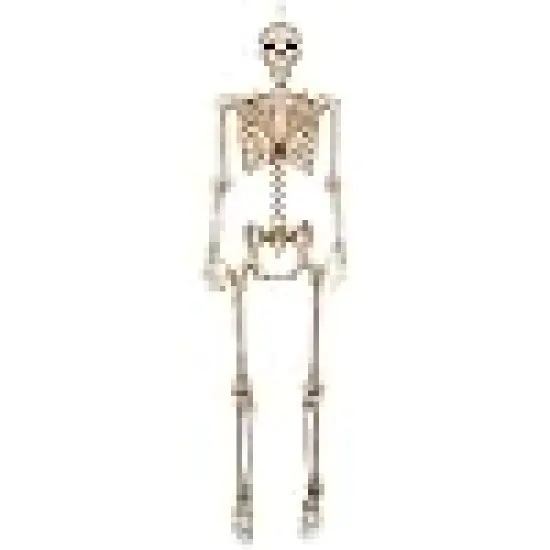 Realistic Posable and Movable Joints Halloween Decoration for Crazy Bonez Skeleton Line {2}
