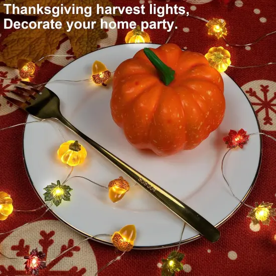 Fall Lights 3D Pumpkin Maple Leaf Acorn {4}