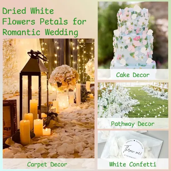 1500Pcs Real Dried Ivory White Hydrangea Flower Petals - Natural smal Petals for Wedding {4}