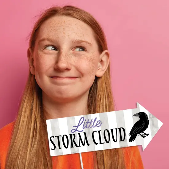 Big Dot of Happiness Goth Girl Funny Photo Props, Halloween or Birthday Party Decoration, Skulls, Ravens, Roses, Bats Photo Booth Props Kit &ndash; 10 Piece {3}