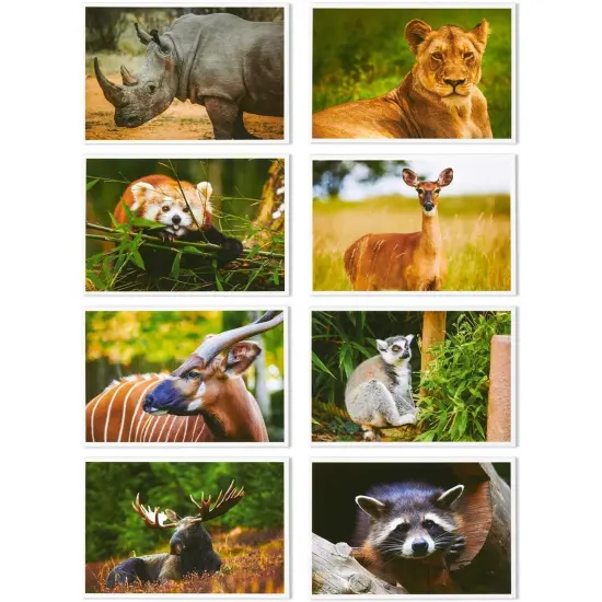 40 Pack Wild Animal Theme Postcards, 20 Designs Bulk Assorted All Occasion Cards 4"x6" Multicolor {5}