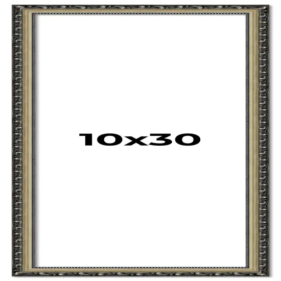 10x30 Museum-Quality Picture Frame with UV-Resistant Acrylic & Acid-Free Backing, Available in 4 Finishes - Gold, Silver, Bronze, and Black {1}