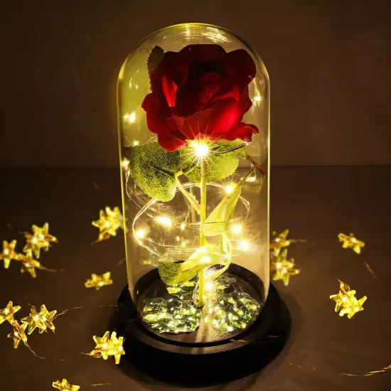 LED Lighted Beauty and the Beast Enchanted Rose In Glass Dome Mother's Day Gift {3}