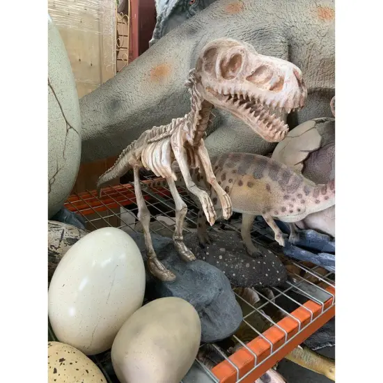 Baby T-Rex Dinosaur Skeleton On Base Life Size Statue {3}