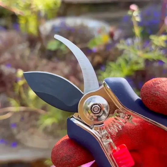 Spear & Jackson Razorsharp Mini Pruner Set for Small Garden Tasks and Bonsai Care, 2 Piece Precision Compact Lightweight Ergonomic Pruning Shears {3}