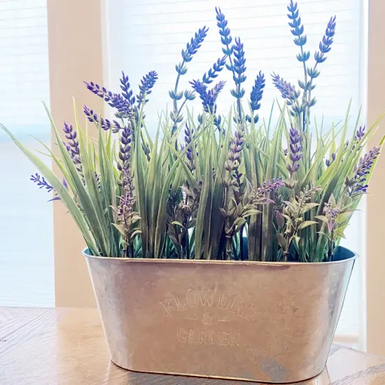 Haute Decor 10 Inch Lavender in Galvanized Metal Pot {4}
