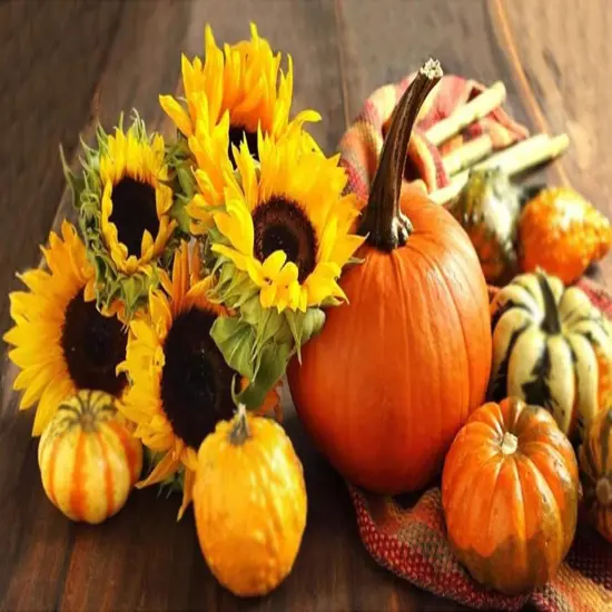 96Pcs Halloween Artificial Pumpkin and Gourd Maple Leaf Sunflower {3}