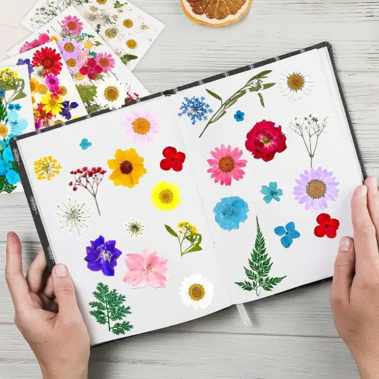 153 Pcs Dried Pressed Flowers for Crafts {3}