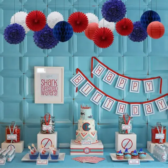 Navy Blue Red White Party Decorations 16pcs Paper Pom Poms Honeycomb Balls Lanterns Tissue Fans for 4th of July Day Patriotic Shake Theme Birthday Graduation Nurse Party {2}