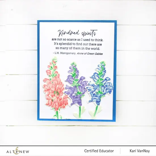 Well-Read Stamp Set {3}