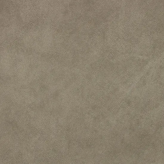 Richloom EISNER- Faux Leather Sand {5}