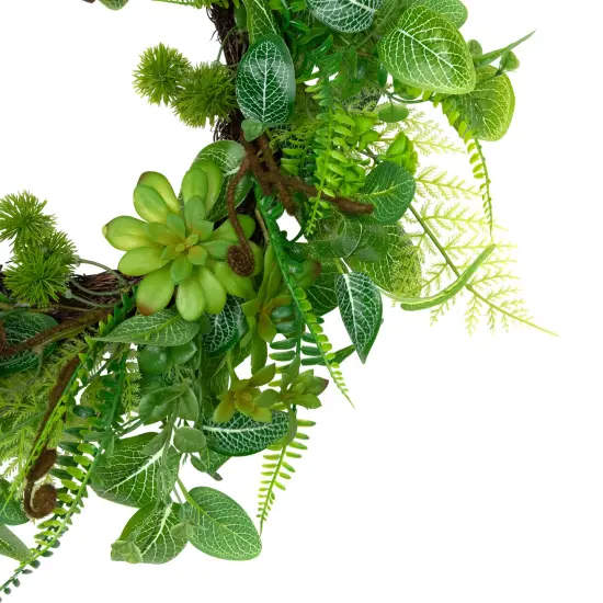 Northlight Maidenhair Fern and Foliage Spring Wreath 24-Inch Green {5}