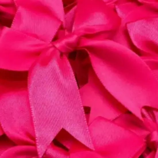 12 Ct Hot Pink Bows Satin Ribbon {3}