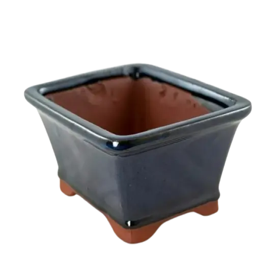 6.25" Rectangular Dark Blue Bonsai / Succulent Pot + Tray + Rock + Mesh Combo {1}