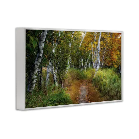 Walk In The Hemlocks Forest Framed Giclee Art Black {9}