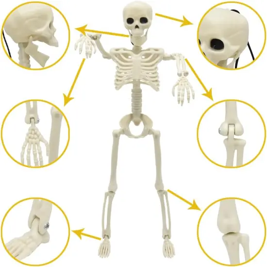 5 Pack 16" Halloween Skeleton Decorations {2}