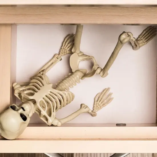 Halloween Decoration Outdoor 2 Pack Skeleton, 16" Plastic Posable Skeleton {2}