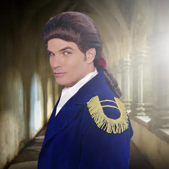 Colonial Duke Men's Costume Wig with Bow - Brown {4}