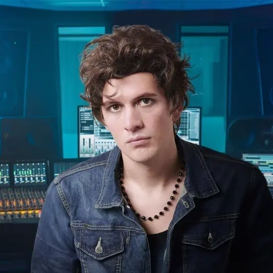 Cool Dude Adult Costume Wig | Brown {3}