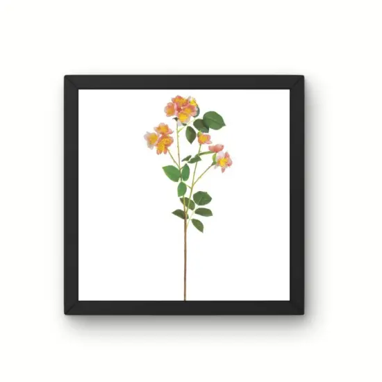 26" Wild Cottage Garden Rose Spray | Coral Faux Floral Stem {3}