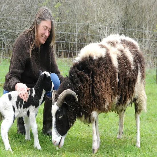 Felting Kit - Jacob Sheep Needle Felt Kit {4}