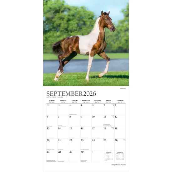 Magnificent Horses | 2026 12 x 24 Inch (Hanging) Monthly Square Wall Calendar | Foil Stamped Cover {4}