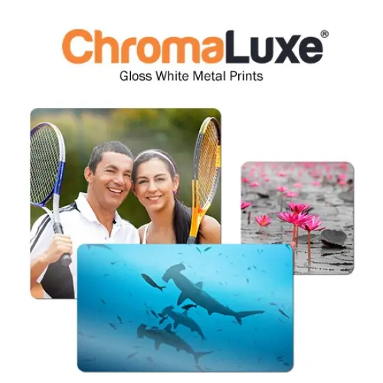 ChromaLuxe HD Gloss White Aluminum Panel 16"x20" .045" thick - 10 per Case 4016 {4}