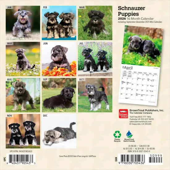 Schnauzer Puppies | 2026 7 x 14 Inch (Hanging) Monthly Mini Wall Calendar {2}