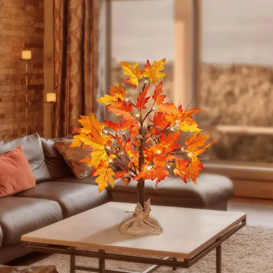 Falll Tree with Lights {6}