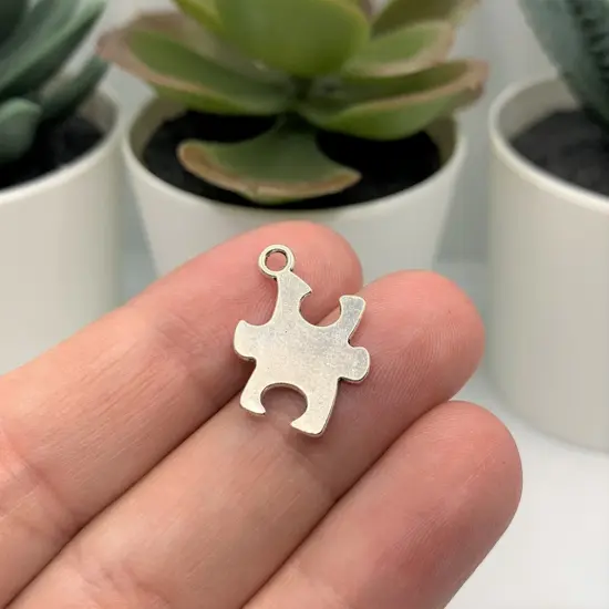 Silver Autism Awareness Puzzle Piece Charms, 22x14mm {3}