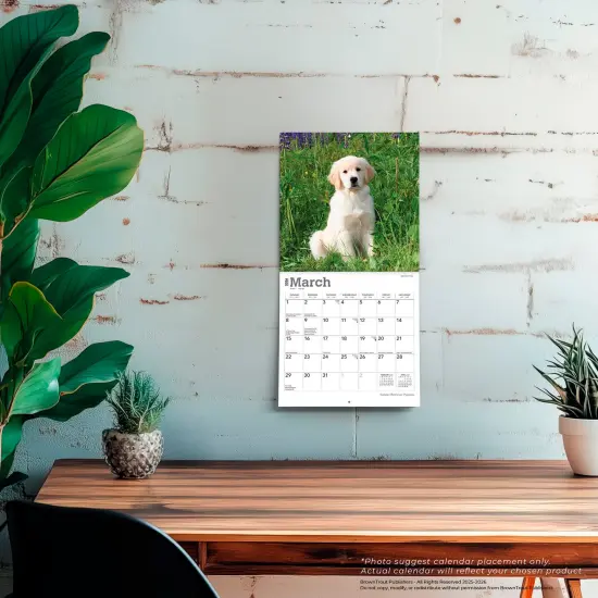Golden Retriever Puppies | 2026 7 x 14 Inch (Hanging) Monthly Mini Wall Calendar {5}