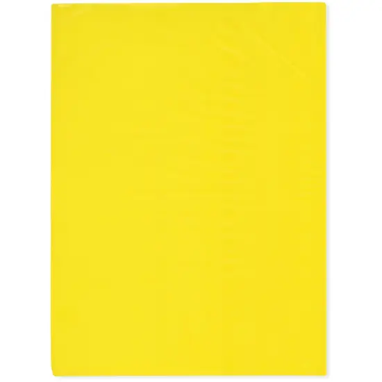 Plymor 9" x 12", Yellow 2 Mil Flat Open Plastic Poly Bags {1}