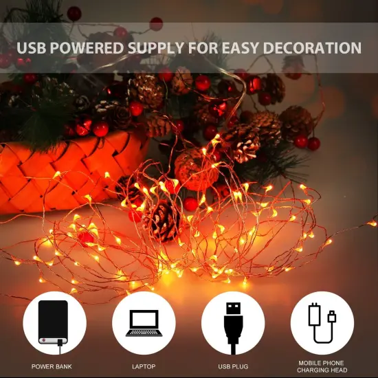 Halloween USB LED Fairy String Light (16ft./5M,Orange) {2}