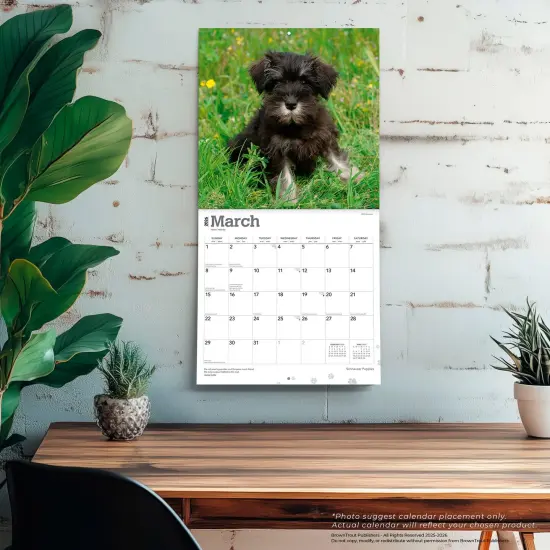 Schnauzer Puppies | 2026 12 x 24 Inch (Hanging) Monthly Square Wall Calendar | Plastic-Free {5}