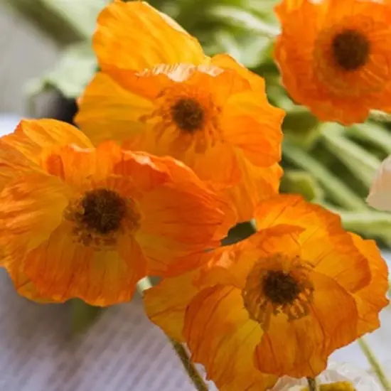 Artificial Flowers 6 Stems Poppy Silk Bouquet,for Wedding, Home, Party {3}