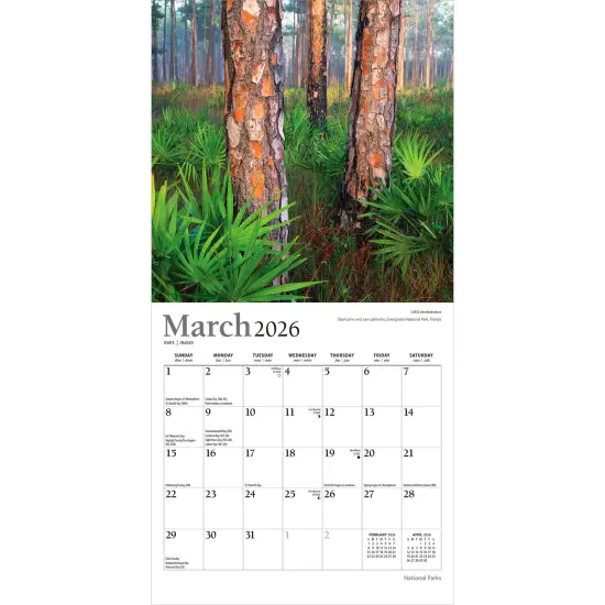 National Parks | 2026 7 x 14 Inch (Hanging) Monthly Mini Wall Calendar | Foil Stamped Cover {3}