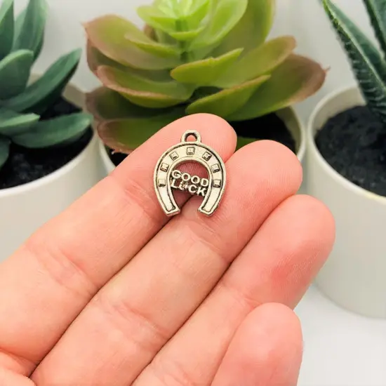 Silver Good Luck Horseshoe Charms, 17x15mm {2}