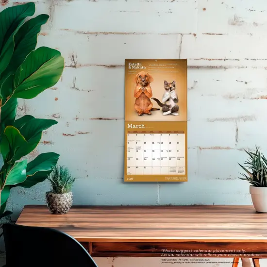 Yoga Puppies & Kittens Together OFFICIAL | 2026 7 x 14 Inch (Hanging) Monthly Mini Wall Calendar {5}