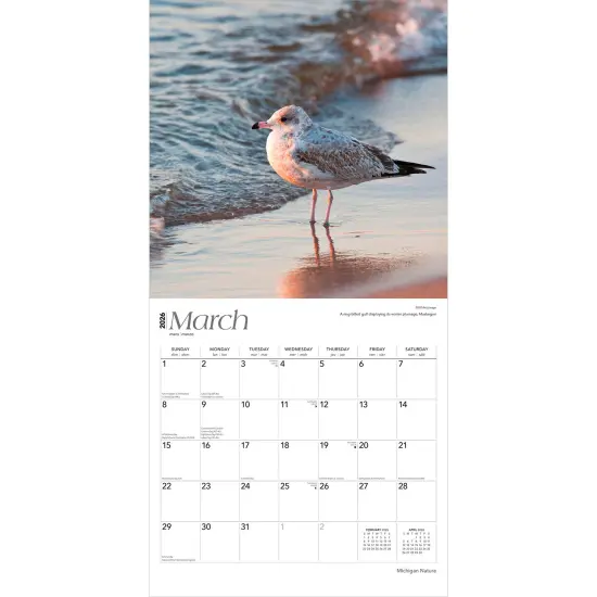 Michigan Nature | 2026 12 x 24 Inch (Hanging) Monthly Square Wall Calendar | Plastic-Free {3}