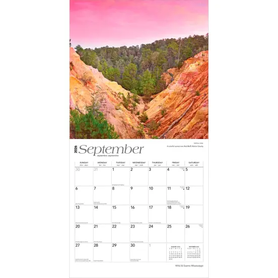 Mississippi Wild & Scenic | 2026 12 x 24 Inch (Hanging) Monthly Square Wall Calendar | Plastic-Free {4}