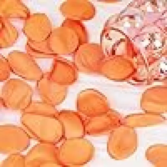 Petals Fall Wedding Decor Flower Girl Petals {2}