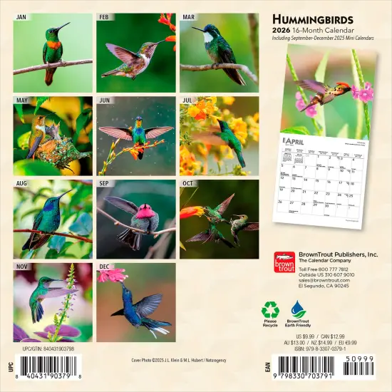 Hummingbirds | 2026 7 x 14 Inch (Hanging) Monthly Mini Wall Calendar {2}