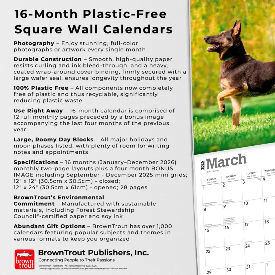 Belgian Malinois | 2026 12 x 24 Inch (Hanging) Monthly Square Wall Calendar | Plastic-Free {6}
