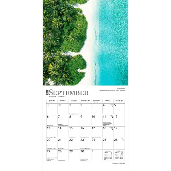 Tropical Islands | 2026 7 x 14 Inch (Hanging) Monthly Mini Wall Calendar {4}