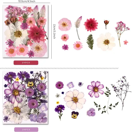 5 Packs of 140 Pressed Dried Flowers and Leaves {3}