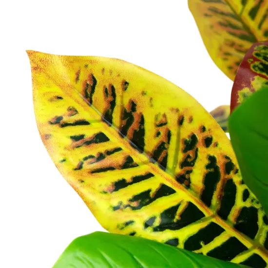 Northlight Artificial Croton Tree with Variegated Leaves - 45.75" Green {7}