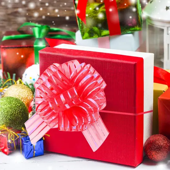 Pull Bows for Gift Wrapping, Large, Organza, 6 Inches, 8 Pieces (Multicolour) {4}