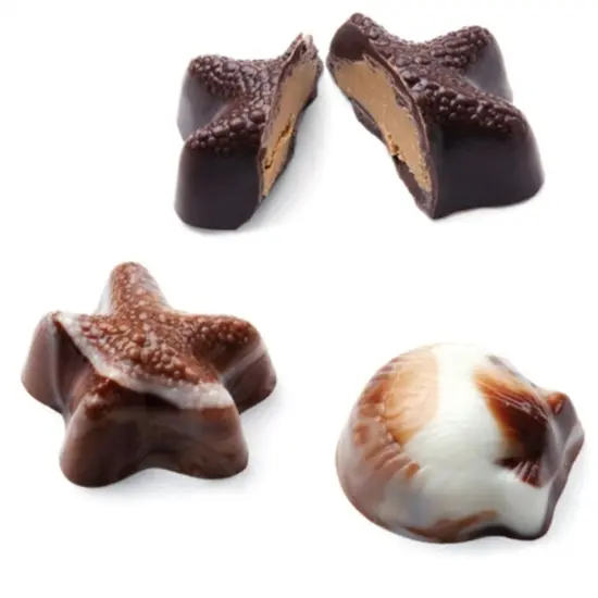 Seashell Continental Chocolate Mold {1}