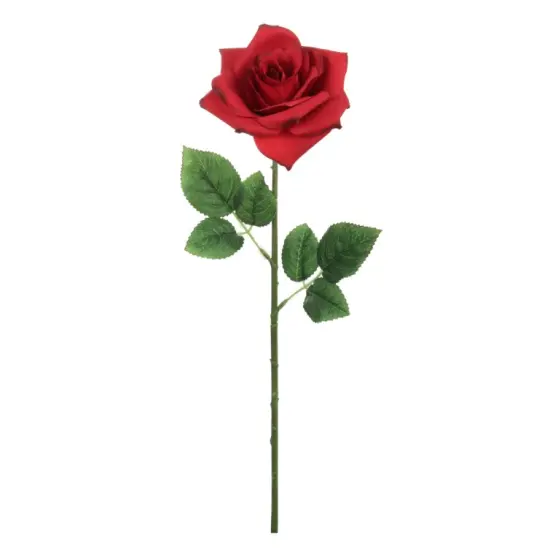 20" Open Rose Stem - 12 PACK {1}